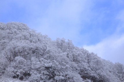 青空と雪景色