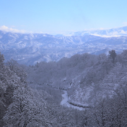 初雪景色