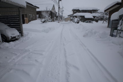 1月14日(土)、高田観測所記録　降雪量50cm積雪量66cm