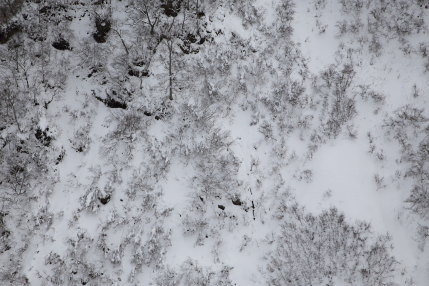 山肌が少し見える雪景色