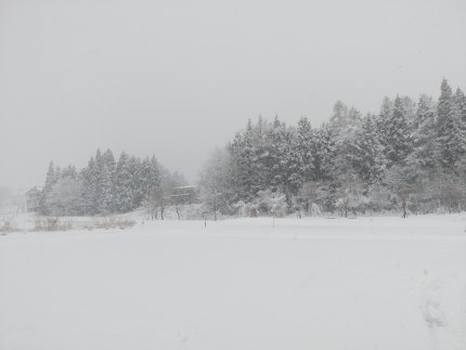 雪模様