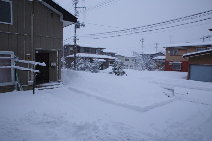 1月24日(水)