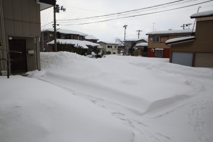 1月27日(土)