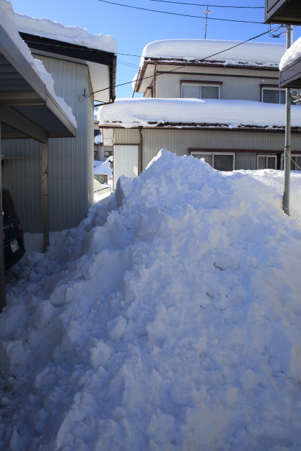 カーポートと小屋の後ろにおろした雪