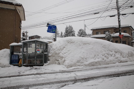 2月21日(水)