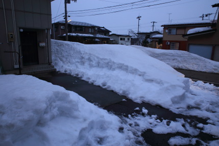 2月28日(水)