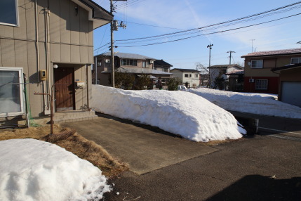 3月7日(水)