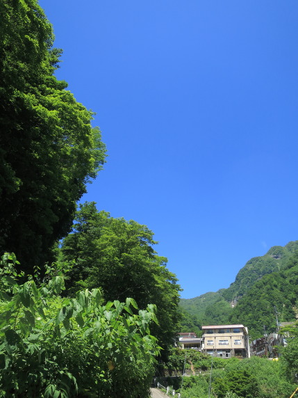 初夏の匂いのする山の風景