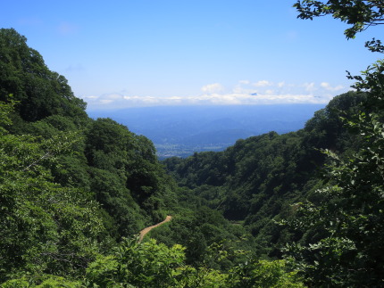 癒される風景