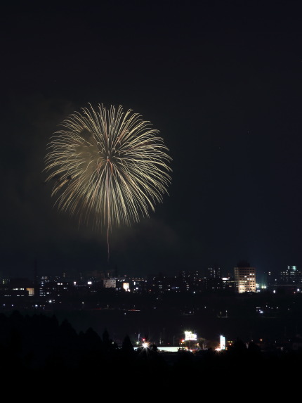 金谷山から花火