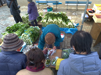 地場の野菜