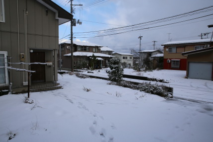 夜中に雪が降りました