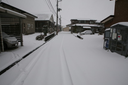 朝方、午前中と雪が降り