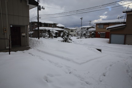 上越高田の冬