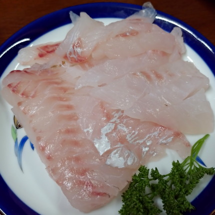 鯛の刺身