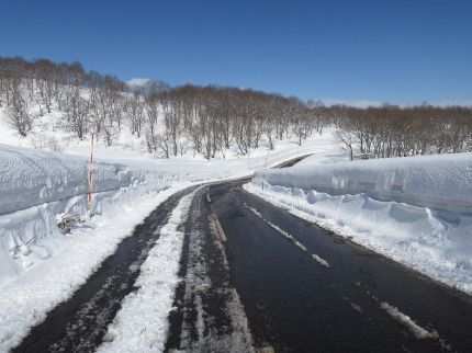 晴れて雪景色も栄え、美しかった