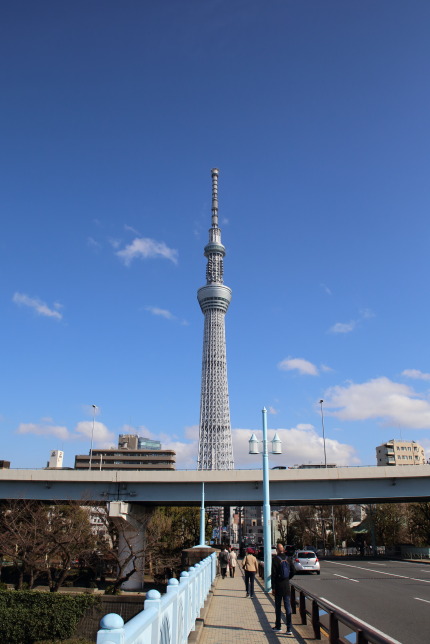 少し離れたところから見るスカイツリー