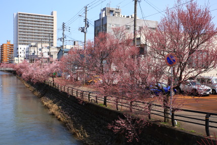 3月29日(金)