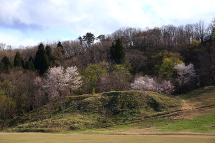 この景色も美しい