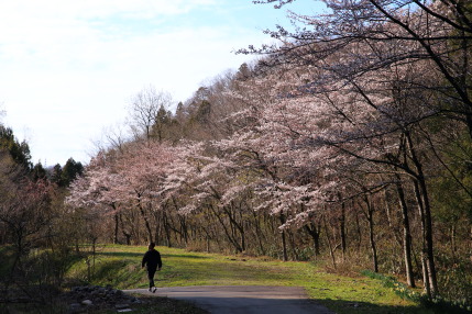 金谷山西側のほたるの宿近く