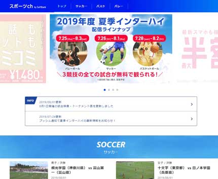 バレーボール、サッカー、バスケットボール