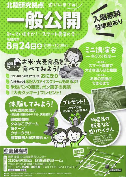 一般公開