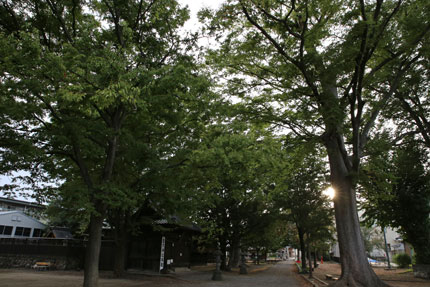 八坂神社 秋葉神社