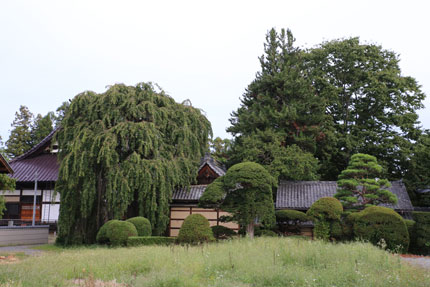 龍雲寺