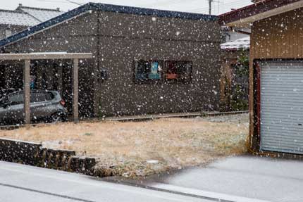 雪らしい雪が降ってきました