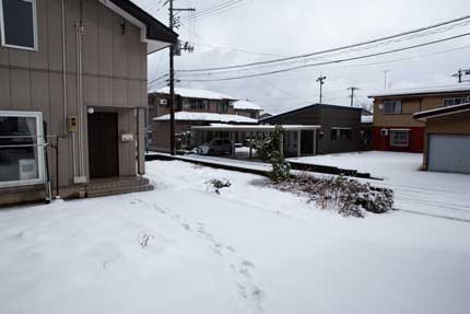 雪