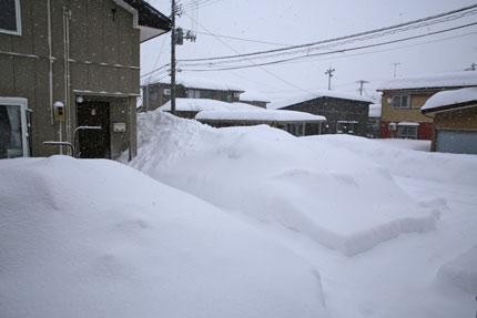 1月8日(金)