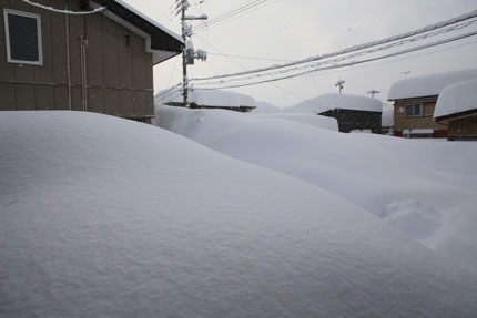 1月9日(土)