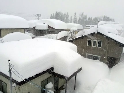 小屋の屋根