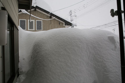 家も事務所も雪の覆われてしまいました