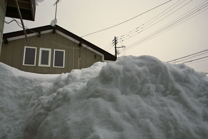 1月12日(火)上越市大貫の雪