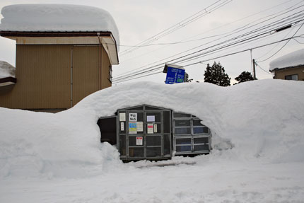 家の前から県道までの15mほど