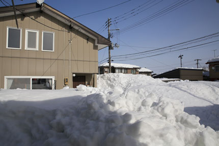 1月15日(金)上越市大貫の雪