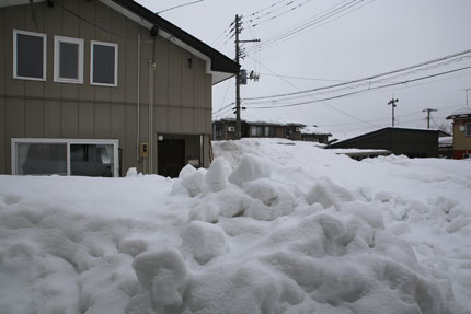 1月17日(日)、上越市大貫の雪