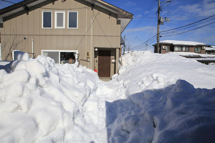 1月18日(月)上越市大貫の雪