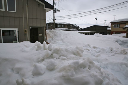 1月24日(日)、上越市大貫の雪