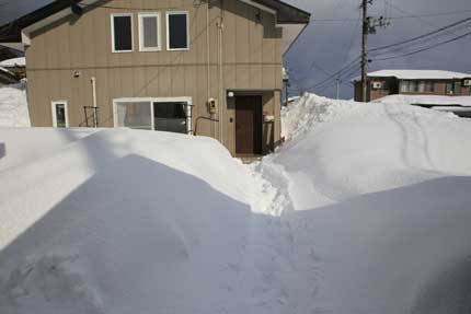 1月30日(土)、上越市大貫の雪