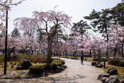 高田城址公園東側