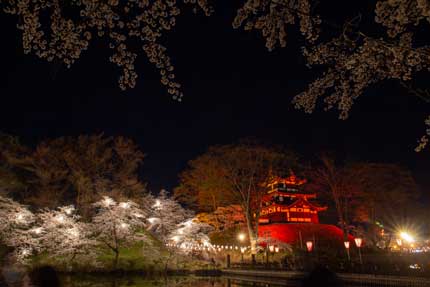 高田城三重櫓と桜