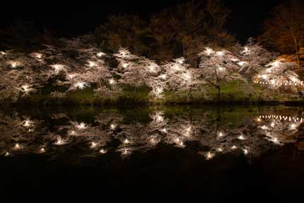 お堀に映る夜桜