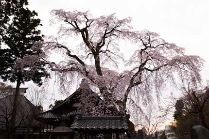 日朝寺