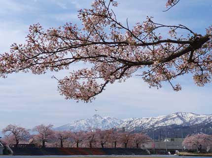 残雪の妙高山とのコラボ