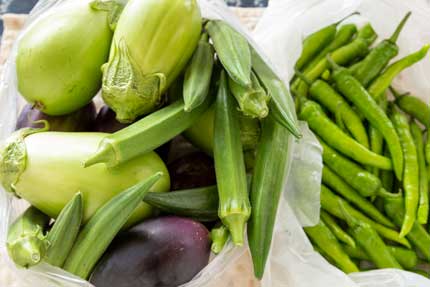 沢山の野菜