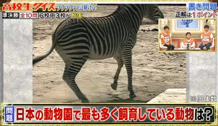 日本の動物園で最も多く飼育している動物は？