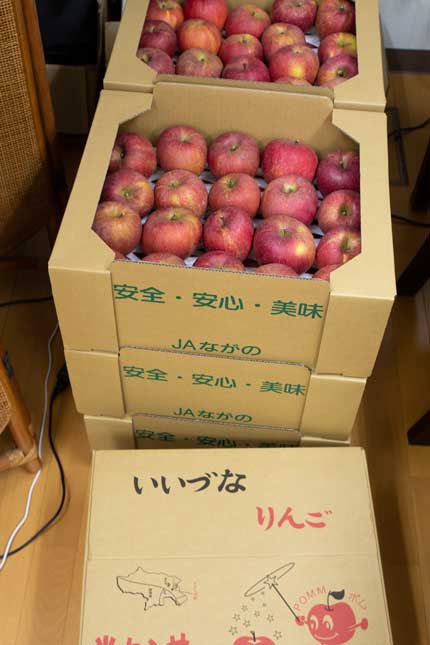 10kg2500円税込の家庭用りんごと10kg5000円税込の秀りんごを購入