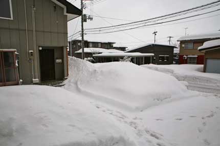 2月5日(土)